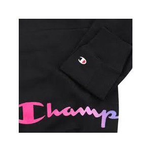 Champion Hooded Sweatshirt...