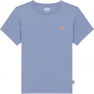 DICKIES T SHIRT MINI LOGO...